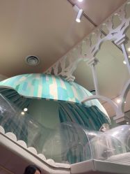-奈尔宝·儿童乐园·亲子餐厅(星河湾店)