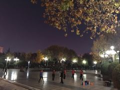 -西清公园