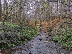 -桤木河湿地公园