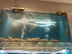 -赶海部落海鲜城(海阳路店)