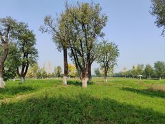 -汉长安城未央宫国家考古遗址公园