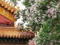 -横店影视城明清宫苑园区