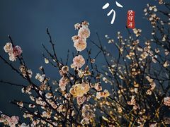 -无锡梅园公园