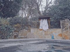 -天目湖涵田半山温泉