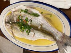 清蒸鲜白鱼-锡和无锡菜(景丽苑店)