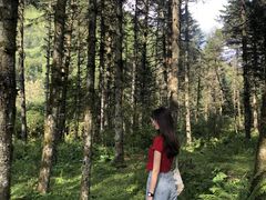 -石棉县孟获城