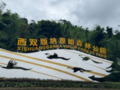 -野象谷景区