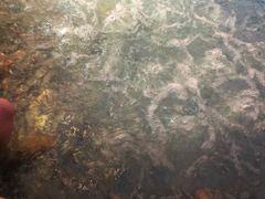 -水晶之星洗浴温泉汗蒸