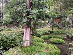 -成都市活水公园