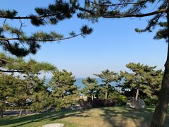-棒棰岛宾馆景区