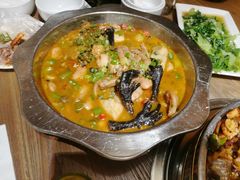 -老号尤兔头(玉堂店)