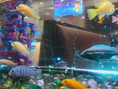 -新辉港式茶餐厅(北栅店)