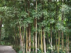 -成都杜甫草堂博物馆