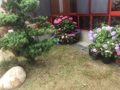 -呼吸森林·生态农庄农家乐私房菜