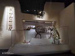 -国家自然博物馆