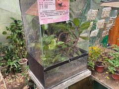 -上海大自然野生昆虫馆(东方明珠·爬宠昆虫探索中心)
