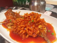 -新白鹿餐厅(百联中环店)