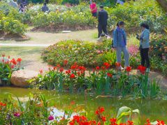 -人民公园(罗湖区)