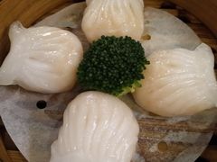 虾饺-香港表哥茶餐厅(银泰百货店)