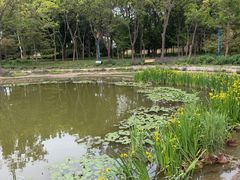 -森林公园(尖草坪区)