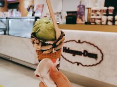 -哈根达斯(芳圆里店)