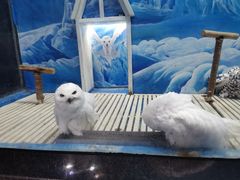 -成都浩海立方海洋公园