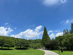 -苏州上方山国家森林公园