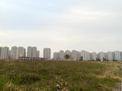 -洋湖国家湿地公园