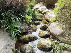 -雁南飞茶田景区