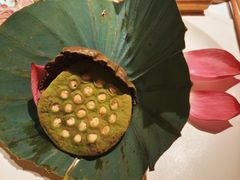 -叶叶菩提·晋福宫