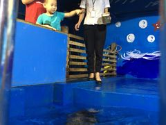 -常州海昌海洋探索馆