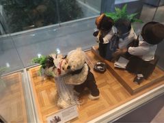 -济州岛泰迪熊博物馆