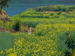 -新安江山水画廊风景区