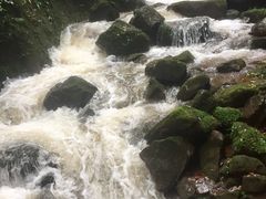 -赤水丹霞旅游区·佛光岩