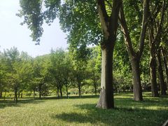 -河南省黄河迎宾馆