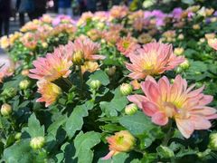 -共青国家森林公园-售票处