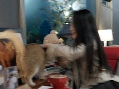 -咖法森林·咖啡  酒吧(天河店)