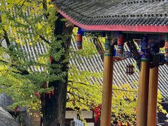 -金堂县云顶石城风景区