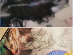 -上海虹桥当代艺术馆