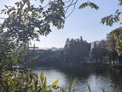 -四海公园(南山区)
