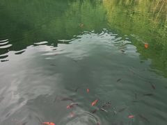 -遂昌金矿国家矿山公园
