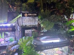 -重庆欢乐海底世界