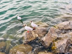 -青海湖二郎剑景区