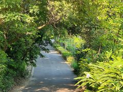 -广西壮族自治区药用植物园