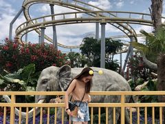 -七彩云南欢乐世界