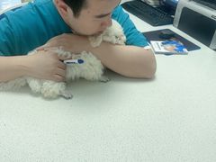 -宠颐生动物医院·心脏科·保险定点(锦阳分院)