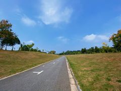 -紫金山山顶公园