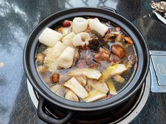 -蘑统田下·野生菌火锅