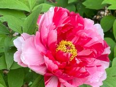 -江南大学(蠡湖校区)