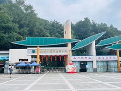 -江西阳明山国家森林公园